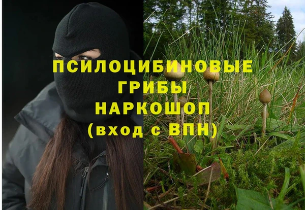 марки nbome Алексеевка