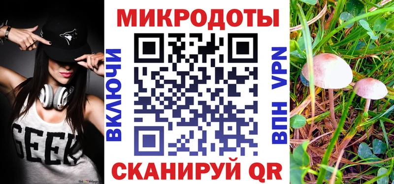 купить   Североуральск  Галлюциногенные грибы MAGIC MUSHROOMS 
